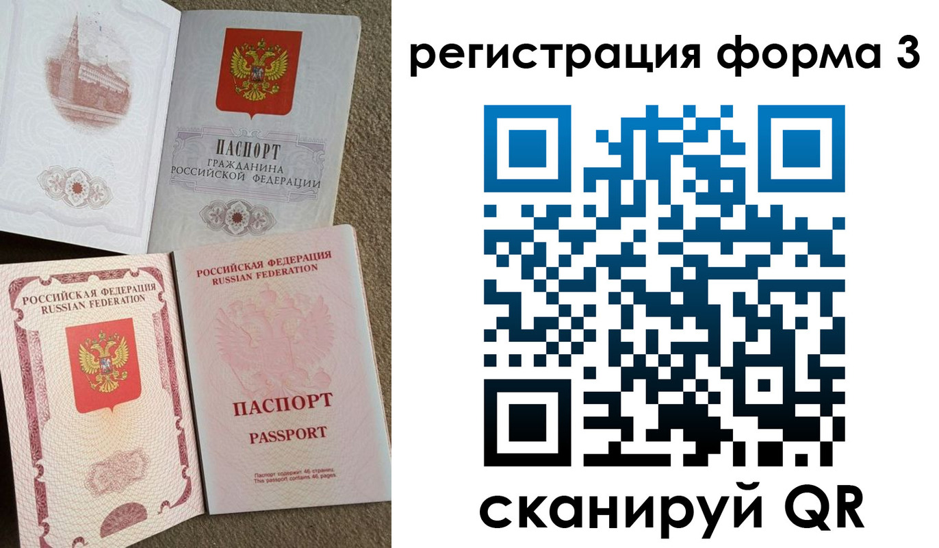 прописка в Кольчугино