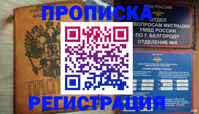 прописка для работы в Кольчугино